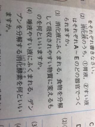 下の問題の答えは消化酵素なんですけど食物を分解して吸収されや Yahoo 知恵袋