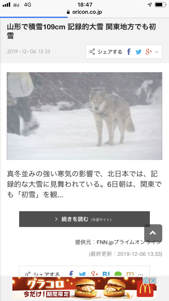 犬は 雪 寒さは強いですか 寒い 雪の時は散歩行ってもいいん Yahoo 知恵袋