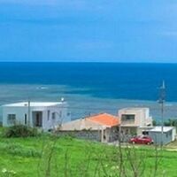 海に咲く花 もしくは 海に咲く一輪の花を英語に直すとどんな感じになる Yahoo 知恵袋