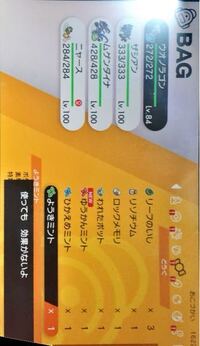 ポケモン剣盾のスカーフウオノラゴンの性格をようきからいじっぱりにすることで ど Yahoo 知恵袋