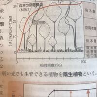 ナルト またはボルトの本当の強さランキングを教えてください 1 10位 Yahoo 知恵袋