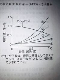 至急 高校生物のアルコール発酵の実験について質問ですキューネ発酵管の盲管部に Yahoo 知恵袋