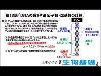 この赤マーカーのところの比の計算がわかりません 10塩基対で3 4 1 Yahoo 知恵袋