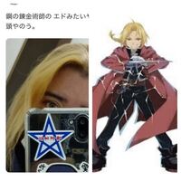 アニメ鋼の錬金術師の評価について 鋼の錬金術師はアニメだとネットや周りで Yahoo 知恵袋