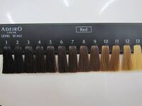 1日だけ髪を黒染めしたい日があります 現在の髪色は写真の8番や9番のよ Yahoo 知恵袋