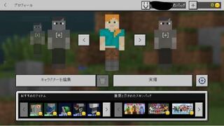 Ios版のマインクラフトpeの事なんですけど配布スキン等のサイトから保 Yahoo 知恵袋