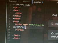プログラミング初心者でJavaScriptをしているんですがalertの部分の色が変わりません。どこかで間違えているんですか？ 