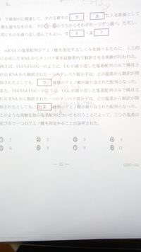 センター試験の国語の追試問題はやるべきでしょうか 先程２０１ Yahoo 知恵袋