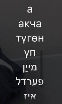 Bonifideという単語をレゲエの歌詞でよく見かけるのですが 何語のなんて意 Yahoo 知恵袋