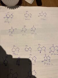 なんかいい覚え方ありません 塩基の構造式 薬学部 生物化学 ア Yahoo 知恵袋