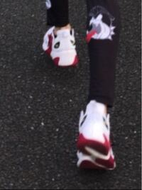 細美武士さんが履かれてたランニングシューズです スニーカーに詳し Yahoo 知恵袋