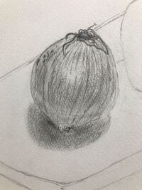 玉ねぎに見えますか 鉛筆デッサン初心者です アドバイス等あれば教 Yahoo 知恵袋