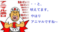 洋楽で わ わ わ わ と 何回も連呼する歌で 少しポップな優しいメ Yahoo 知恵袋