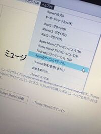 WindowsのiTunesでアップデートを確認しようとし、調べたとおり進んでいった所[更新プログラムを確認]という項目がありませんでした。 この場合どうすればいいでしょうか