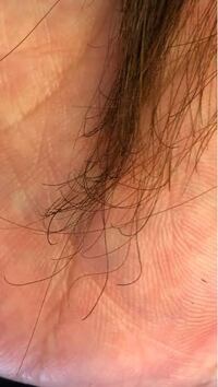 前髪がひどく傷んでちりちりしてしまいました パーマやアイロン Yahoo 知恵袋