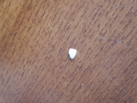 すごい緊急なんですがe Maのど飴を噛んで食べる癖があって今噛んでたら Yahoo 知恵袋