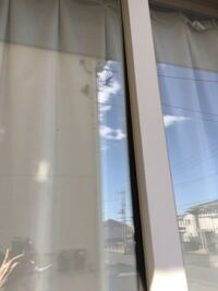 ブラインド内蔵の２重サッシを付けた方 感想を教えてください ブラ Yahoo 知恵袋