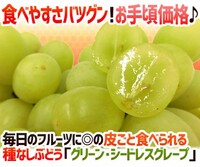 人間が品種改良した果物野菜は 人類が滅んだら絶滅ですか 種なしブ Yahoo 知恵袋