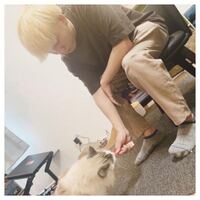 はじめしゃちょーの畑についてです ネットで見つけた画像なんですが Yahoo 知恵袋