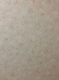 プロジェクターはやはり白い壁じゃ無いとダメでしょうか 自分の壁紙黒なの Yahoo 知恵袋