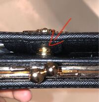 カフェテリア スライム どんなときも ミオクローヌス 耳 カチカチ ネイティブ 子犬 バッフル