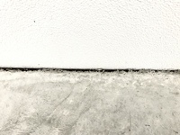 自宅の犬走りに土間コンクリートを施工してもらいました 画像の Yahoo 知恵袋