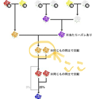 ３dsとび森花の交配について教えてください ミとびだせどうぶつの森の花の Yahoo 知恵袋