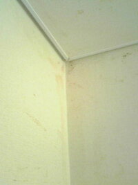 部屋の壁紙に汚れが 現在大学の寮で生活しています 冬休みに実 Yahoo 知恵袋