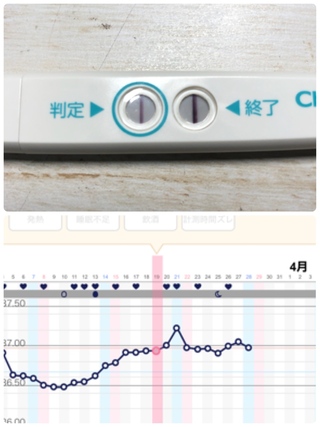 妊娠の可能性はありますか 30分前に検査しました 妊活５ヶ月 Yahoo 知恵袋