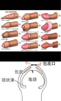 高校生です 長文 分かりにくかったらすいません 単 Yahoo 知恵袋