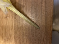 3dsのうしろに製品番号 バーコードがあるじゃないですか こ Yahoo 知恵袋