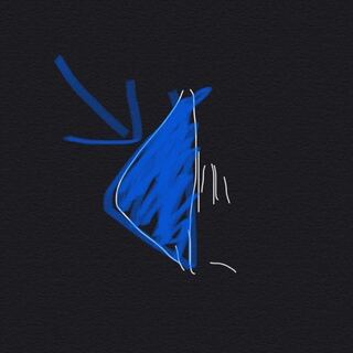 イラストでよく見る鼻の描き方が理解できないのですが 三角の部分は鼻の造 Yahoo 知恵袋