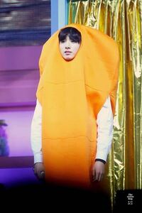 Btsユンギとグクがオレンジの犬の着ぐるみをかぶっているこの番組は Yahoo 知恵袋