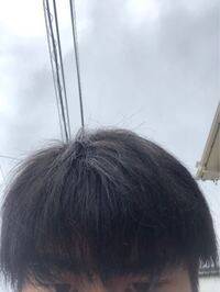こういう髪 剛毛って言われる なんですけど ヘアアイロンって意味あると Yahoo 知恵袋