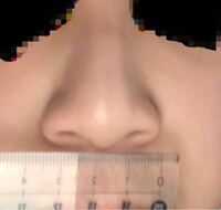 鼻の横幅って何cmありますか 平均いくつでしょうか 自分は鼻が大きい Yahoo 知恵袋