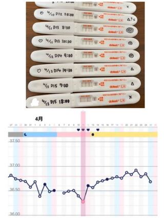 排卵検査薬 基礎体温を使用してのタイミングについて 排卵検査薬 Yahoo 知恵袋