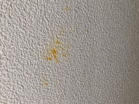 部屋の壁に濃い黄色いシミ 汚れ があります 落とし方を教えて Yahoo 知恵袋
