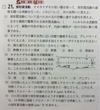 原形質流動 1 から 5 まで 答えを教えてください Yahoo 知恵袋