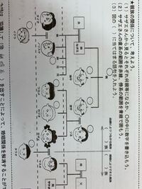 サザエさんの家系図についてわかる方お願いします Yahoo 知恵袋