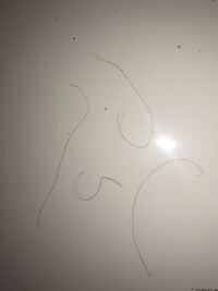 30歳になり 急にくせ毛がひどくなりました もともと 多少はくせ Yahoo 知恵袋