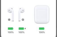 Airpodsが片方だけ100 なのに充電されたままです 右が充 Yahoo 知恵袋