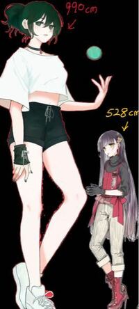 身長528cmの女の子と身長990cmの女の子が渋谷で殴り合いの喧嘩を Yahoo 知恵袋