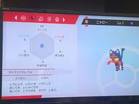 このニャビーって改造ですか 特徴はおやは怪しい名前ではないガラル Yahoo 知恵袋