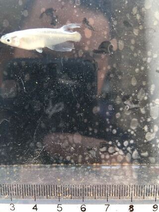 読んでいただいてありがとうございます さっそくですが Yahoo 知恵袋