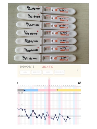 排卵検査薬が陽性から陰性に変わりましたが基礎体温が上がりませ Yahoo 知恵袋