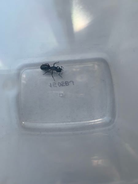 まとめ買いを承諾されたのですが、さらに追加で購入したい商品があり