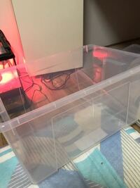 亀を衣装ケースで飼ってる方が多いみたいですが家にある使っていない Yahoo 知恵袋