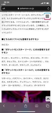リセット ワイルドエリアニュース