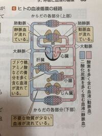 濁 のさんずいを無くしたやつの漢字は何て読むんですか Yahoo 知恵袋