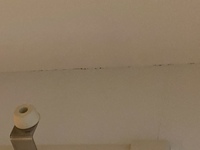 Lineの着せかえをプレゼントするときの すでにこの着せかえを持っている Yahoo 知恵袋